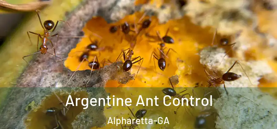 Argentine Ant Control Alpharetta-GA