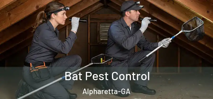 Bat Pest Control Alpharetta-GA