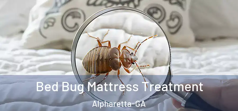  Bed Bug Mattress Treatment Alpharetta-GA