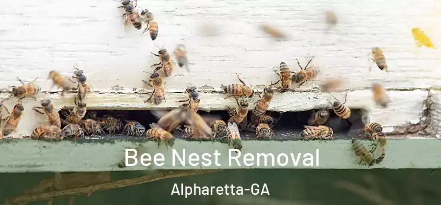 Bee Nest Removal Alpharetta-GA
