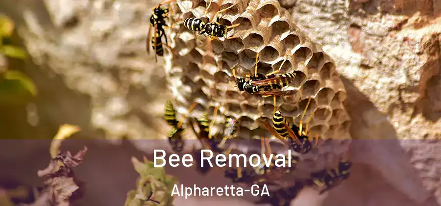 Bee Removal Alpharetta-GA