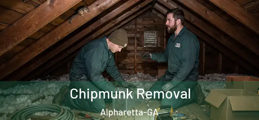 Chipmunk Removal Alpharetta-GA