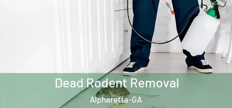  Dead Rodent Removal Alpharetta-GA