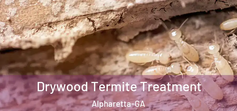 Drywood Termite Treatment Alpharetta-GA