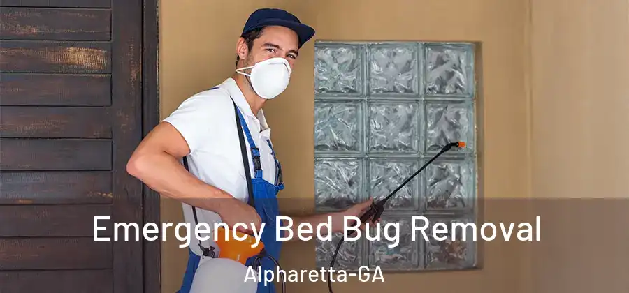 Emergency Bed Bug Removal Alpharetta-GA