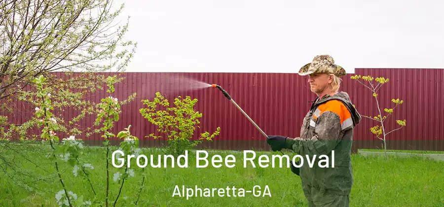Ground Bee Removal Alpharetta-GA