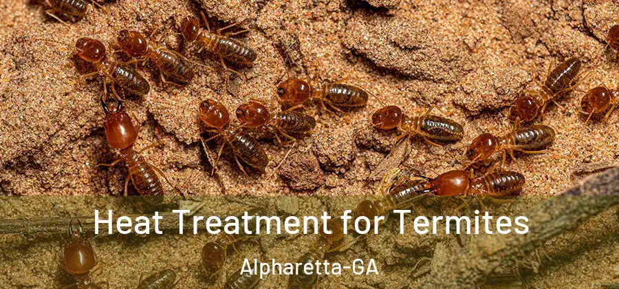 Heat Treatment for Termites Alpharetta-GA