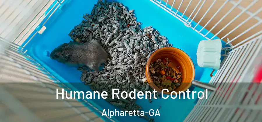 Humane Rodent Control Alpharetta-GA