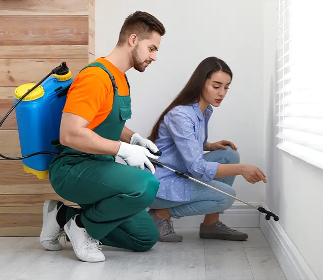 Trusted Affordable Bed Bug Treatment Experts in Alpharetta, GA