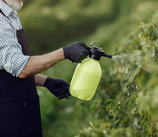 Your Proven Mosquito Treatment Company in Alpharetta, GA