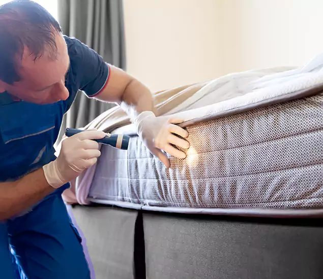 Trusted Bed Bug Cost Experts in Alpharetta, GA