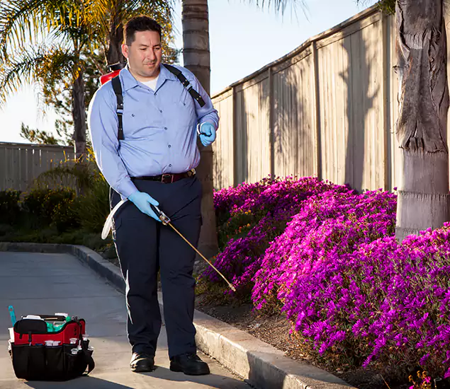 About Our Eco Safe Pest Control Experts in Alpharetta, GA
