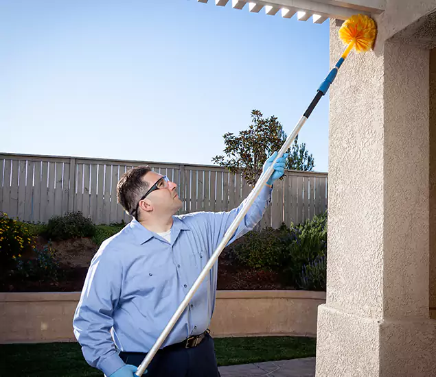 Trusted Experts in Alpharetta GA for Formosan Termite Treatment and Black Termite Control