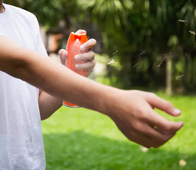 Your Best Indoor Bug Killer Team in Alpharetta, GA