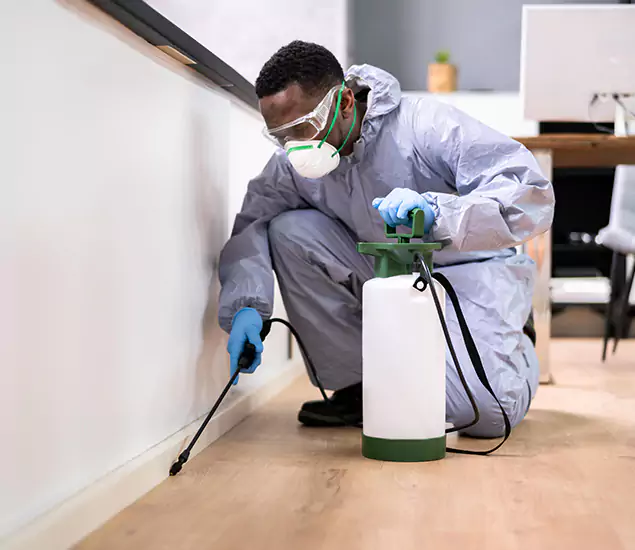 Leading Industrial Pest Control Experts Serving Alpharetta, GA