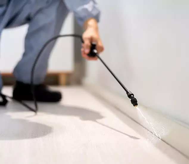 About Our Liquid Termite Treatment Experts in Alpharetta, GA