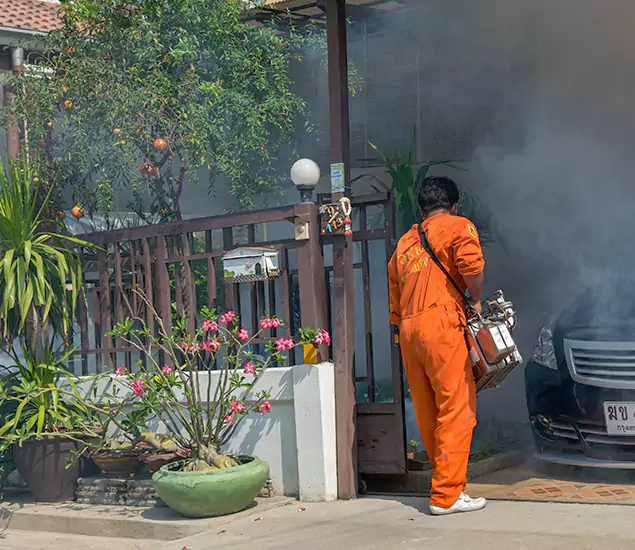 Your Proven Mosquito Fogging Company in Alpharetta, GA
