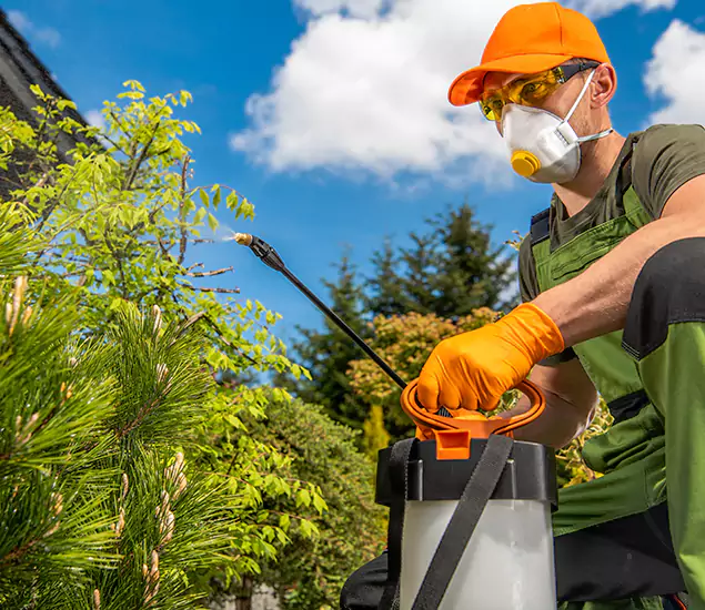 Your Best Bug Spray for Home Team in Alpharetta, GA