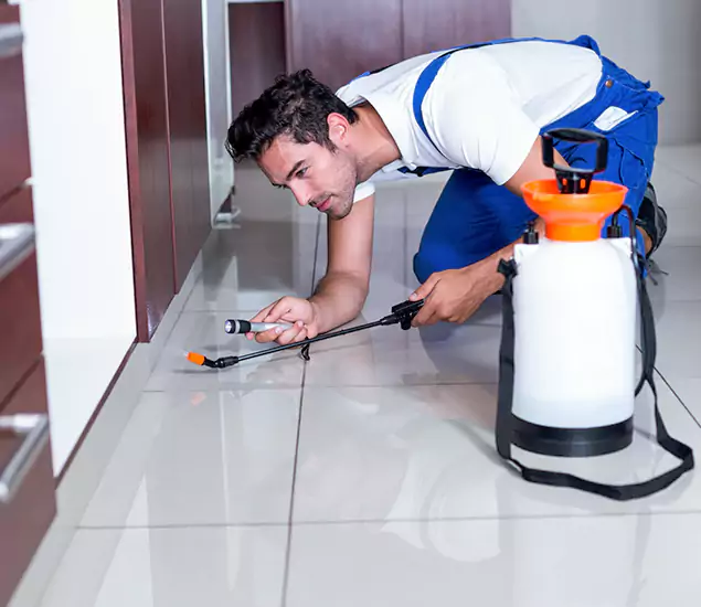Reliable Professional Mouse Removal: Your Best Mouse Control Company in Alpharetta, GA