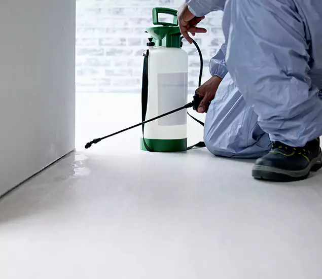 Affordable Pest Control Experts in Alpharetta, GA