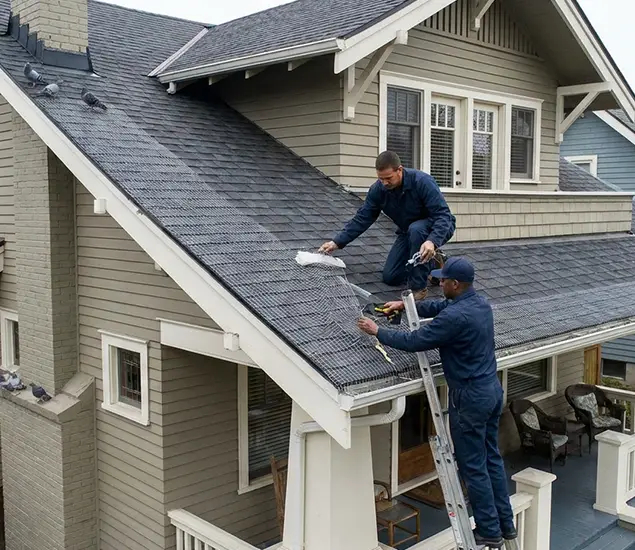 Your Pigeon Control Experts in Alpharetta, GA