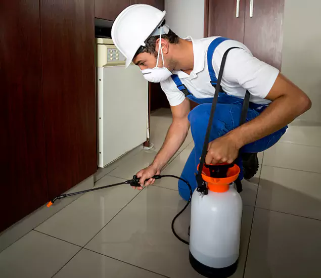 Advanced Termite Pre Treatment Experts in Alpharetta, GA