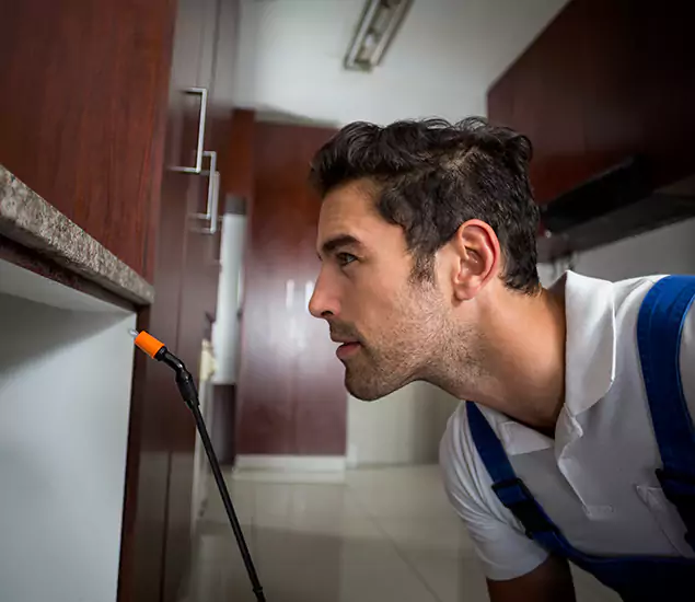 Expert Rodent in Attic Removal: Your Proven Pest Specialists in Alpharetta, GA