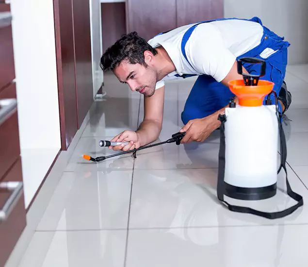 Advanced Slab Termite Treatment Experts You Can Trust&nbsp;in Alpharetta, GA