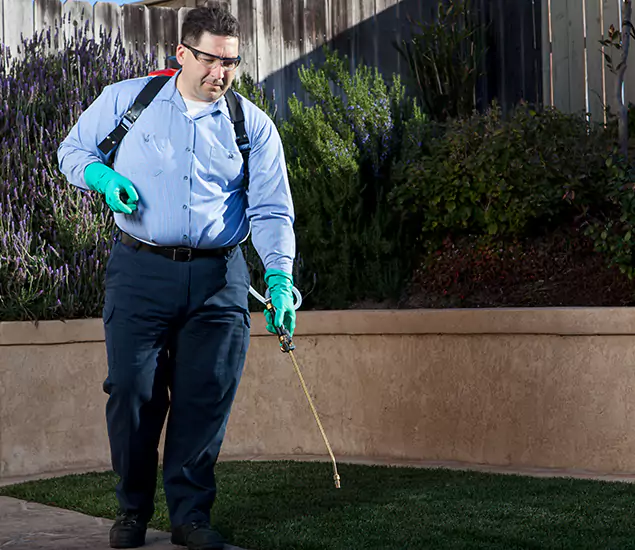 Reliable Termite Barrier Treatment Experts in Alpharetta, GA
