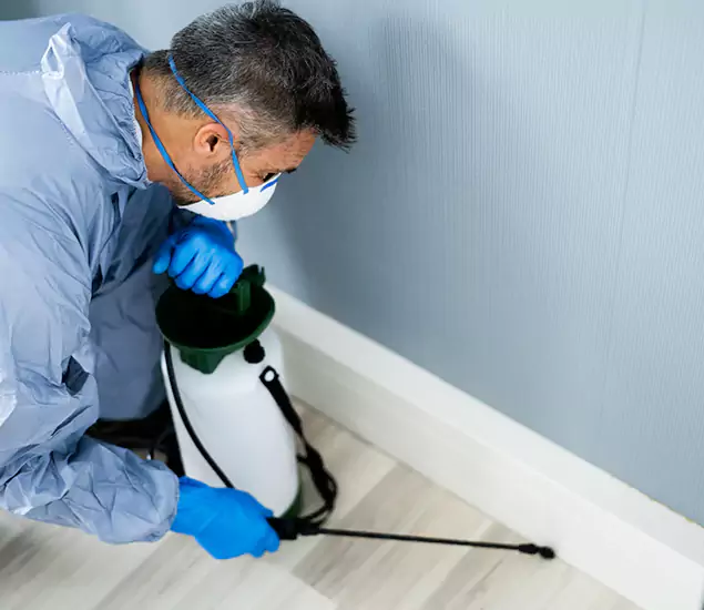 Reliable Termite Cost Experts in Alpharetta, GA