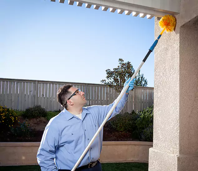 Your Trusted Wasp Removal Company in Alpharetta, GA
