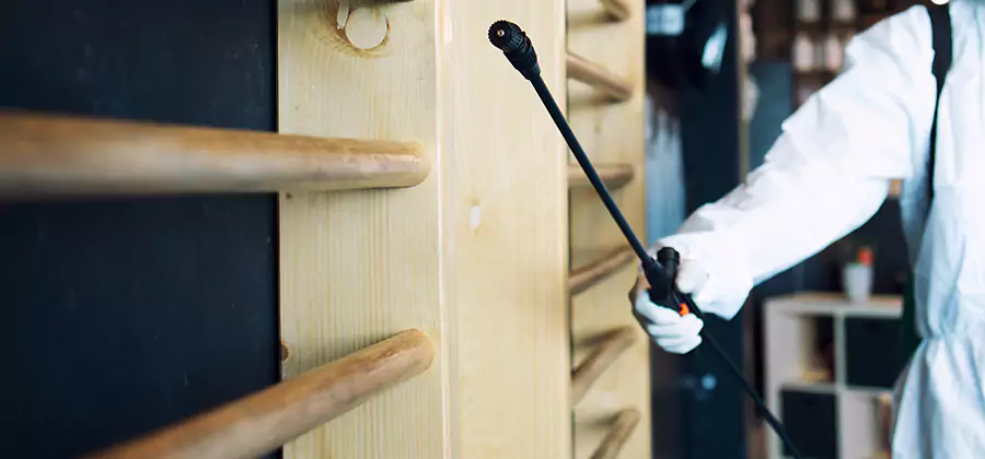 Attic Wood Termite Treatment in Alpharetta