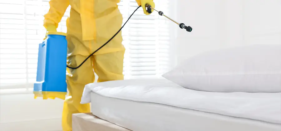 Targeted Chemical Application in Alpharetta