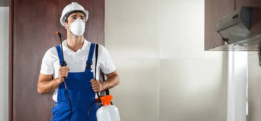Per Room Bed Bug Cost in Alpharetta