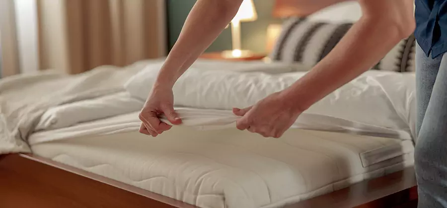 Bed Bug Extermination Services in Alpharetta