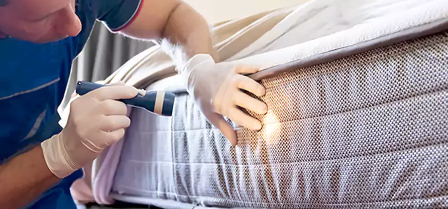 Residential Bed Bug Treatment Cost in Alpharetta