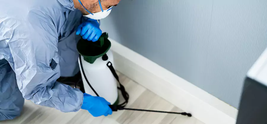 Fumigate Apartment Roaches in Alpharetta