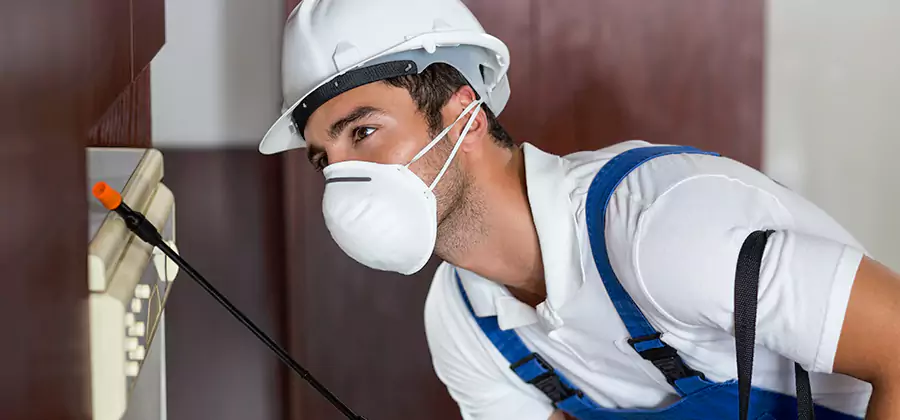 Injection Foam Treatment for Drywood Termites in Alpharetta