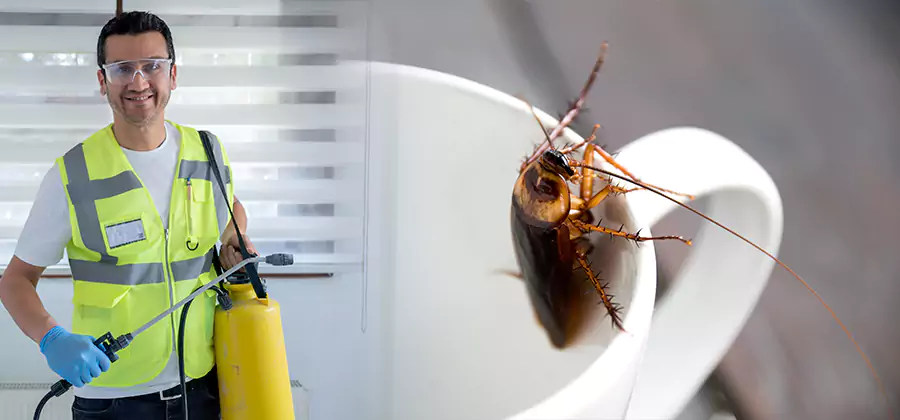 German Roach Infestation Treatment Alpharetta