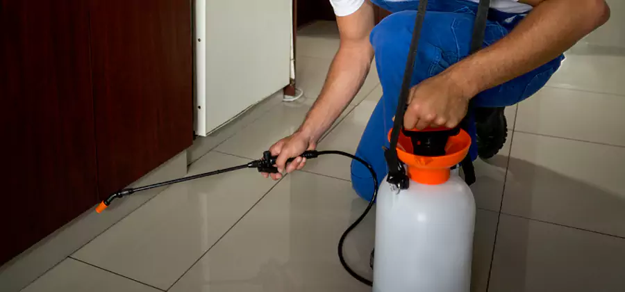 Indoor Mosquito Treatment in Alpharetta