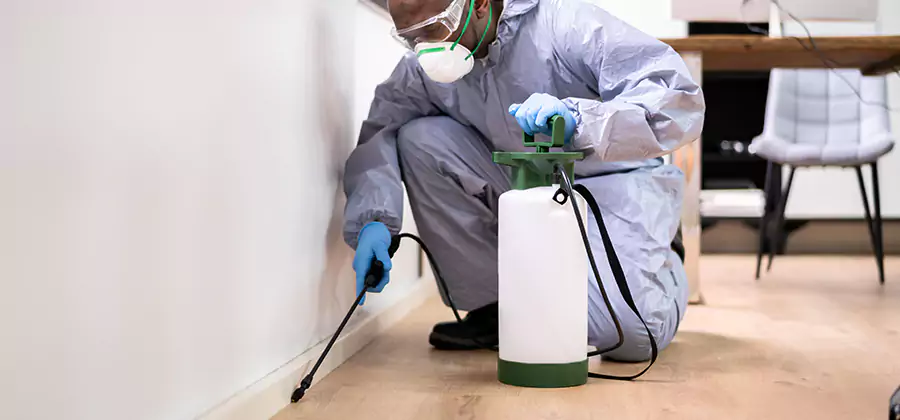 Long Lasting Mosquito Treatment in Alpharetta