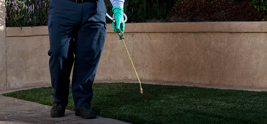 Soil Treatment for New Construction Termites in Alpharetta