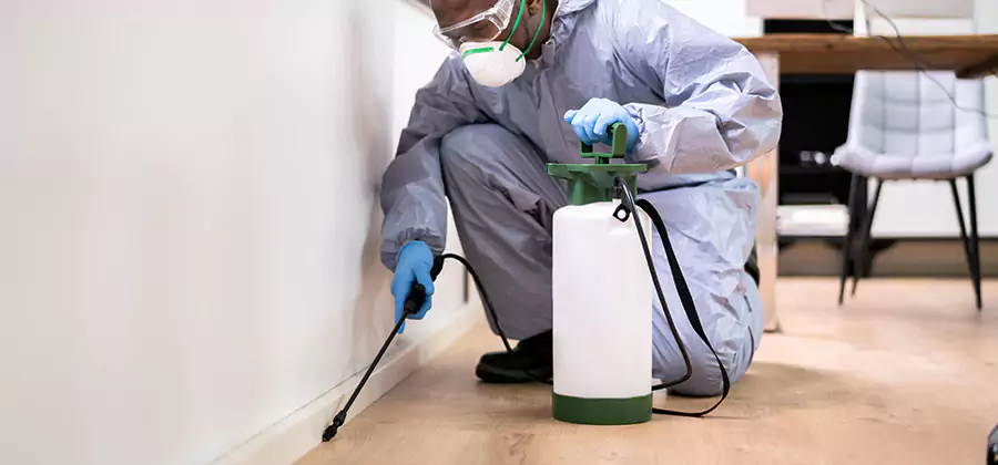 No Tent Termite Extermination With Electric Tool in Alpharetta