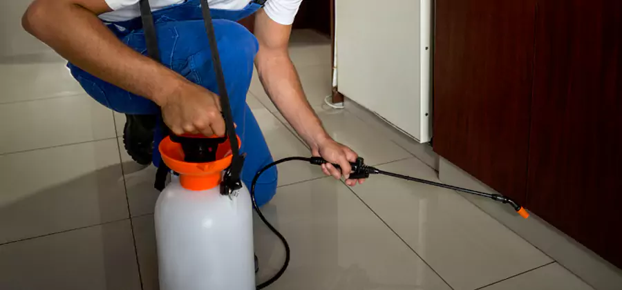 One Time Termite Control in Alpharetta