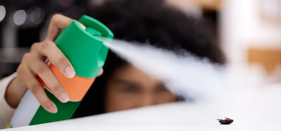 Child Safe Bed Bug Treatment in Alpharetta