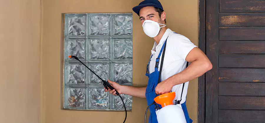 Physical Termite Barrier Installation in Alpharetta