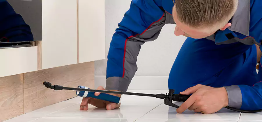 Moisture Treatment For Termite Control Service in Alpharetta