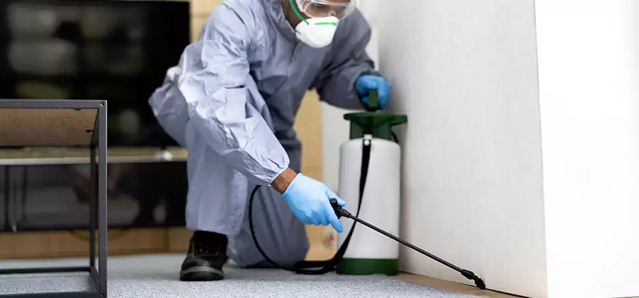 Wood Protection Termite Treatment in Alpharetta