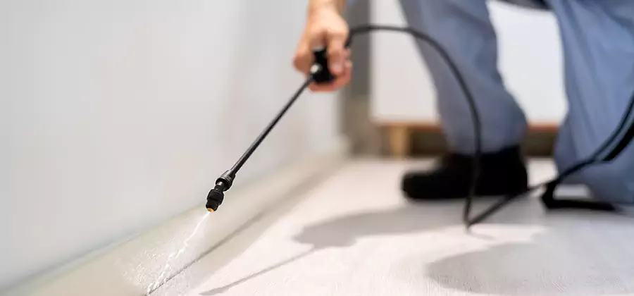 Direct Termite Injection Treatment in Alpharetta