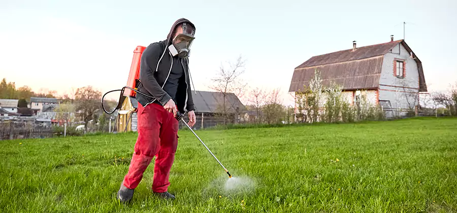 Flea and Tick Pest Control in Alpharetta